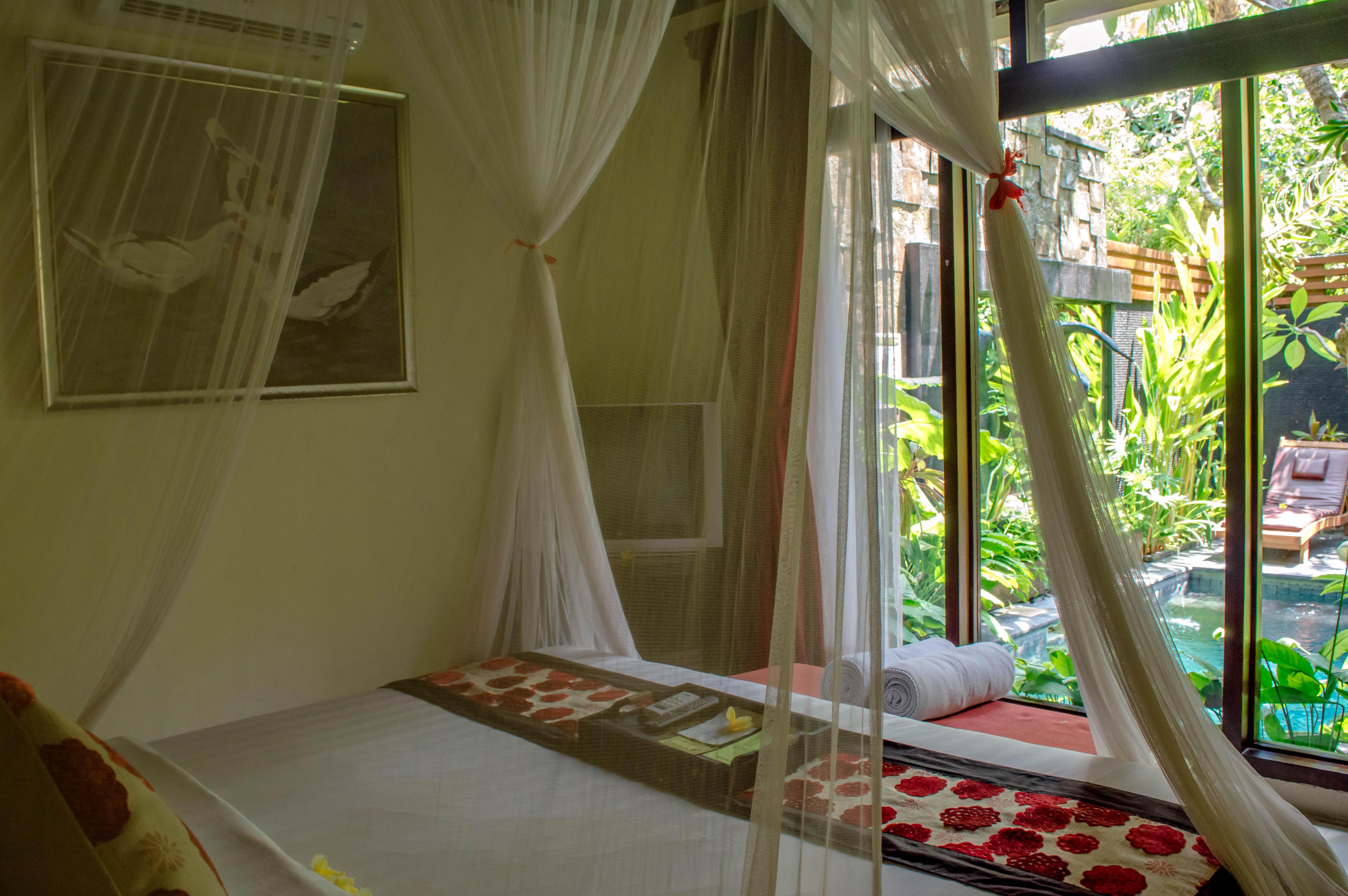 The Bali Dream