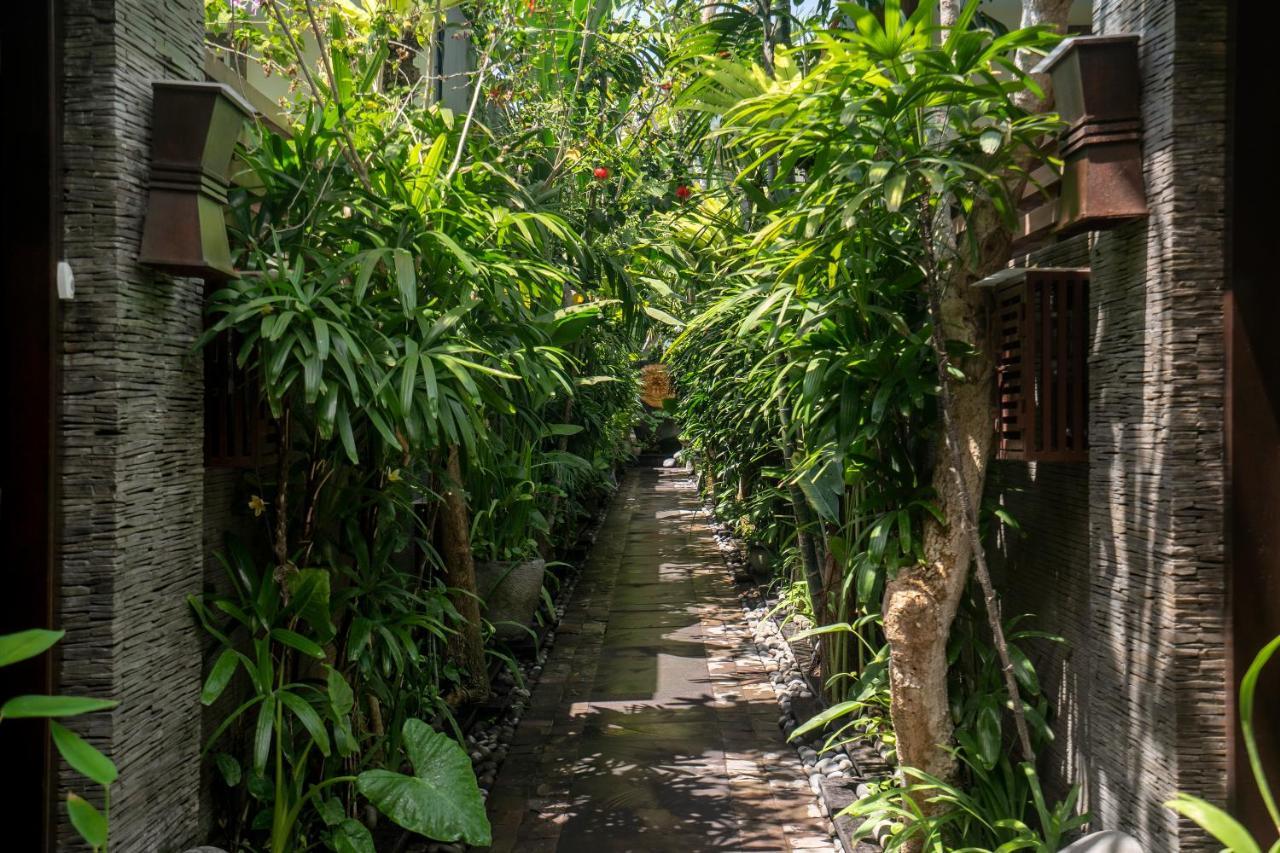 The Bali Dream